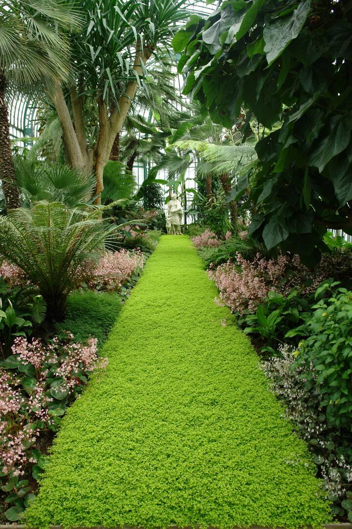 Landscape Supplier Bargo NSW
