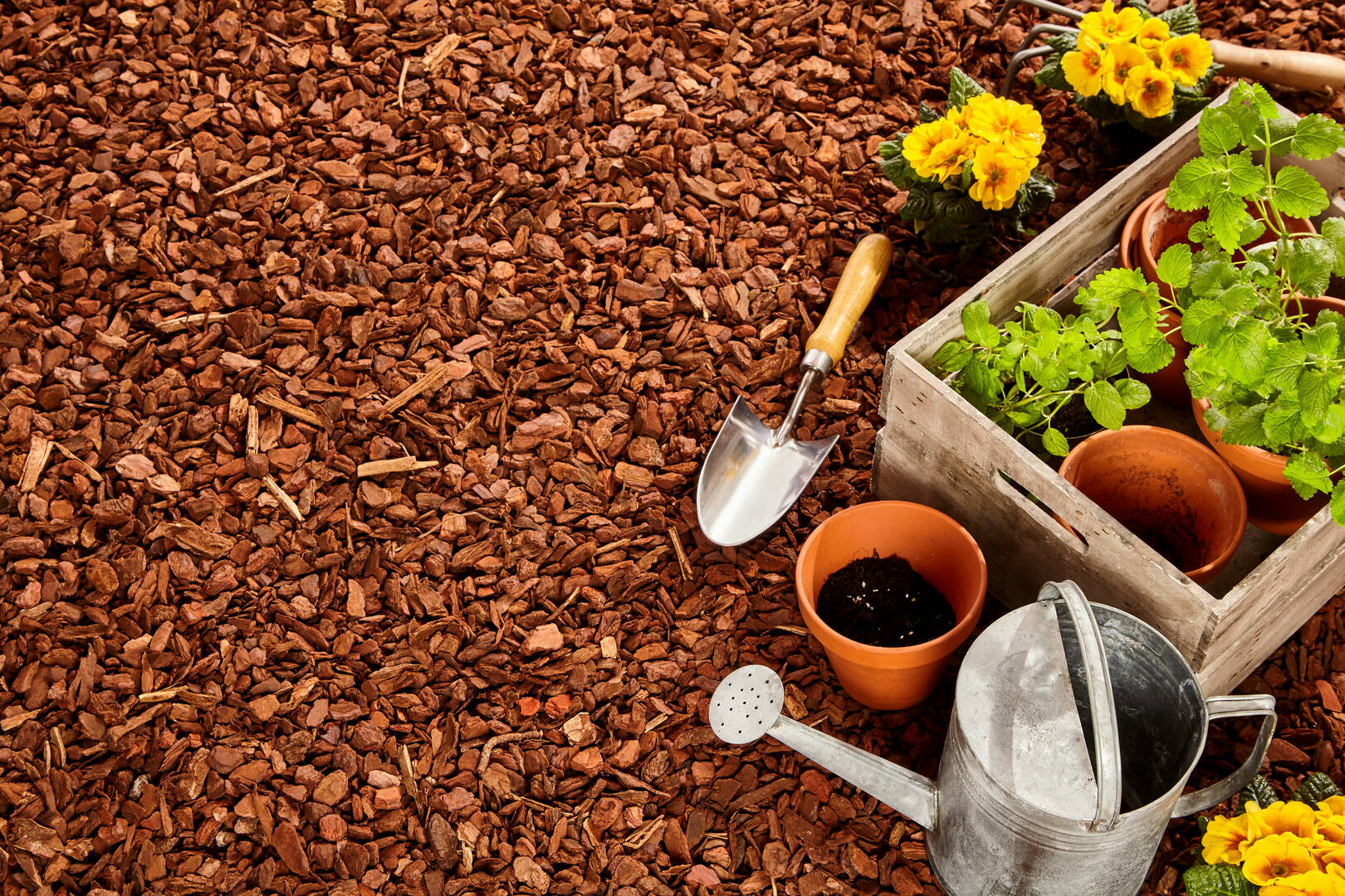 Custom Landscaping Contractor Shreveport