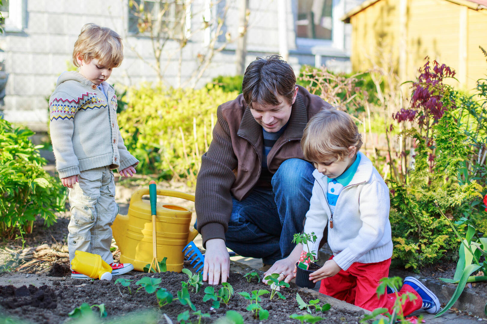 Emergency Tree Service Beachwood OH