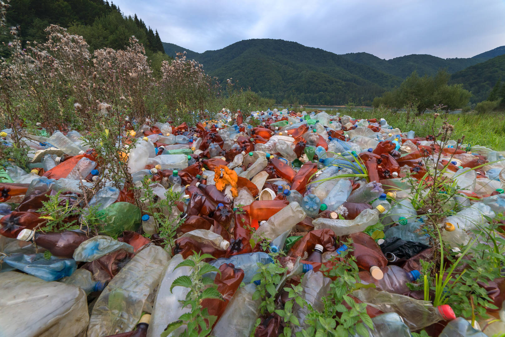 Commercial Trash Removal Service Black Hawk CO